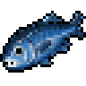 Blue Mackerel