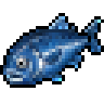 Bluefin Tuna