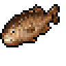 River Carp