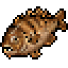Golden Bream